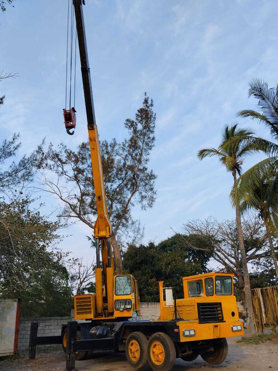 Grúa telescópica de 25 ton