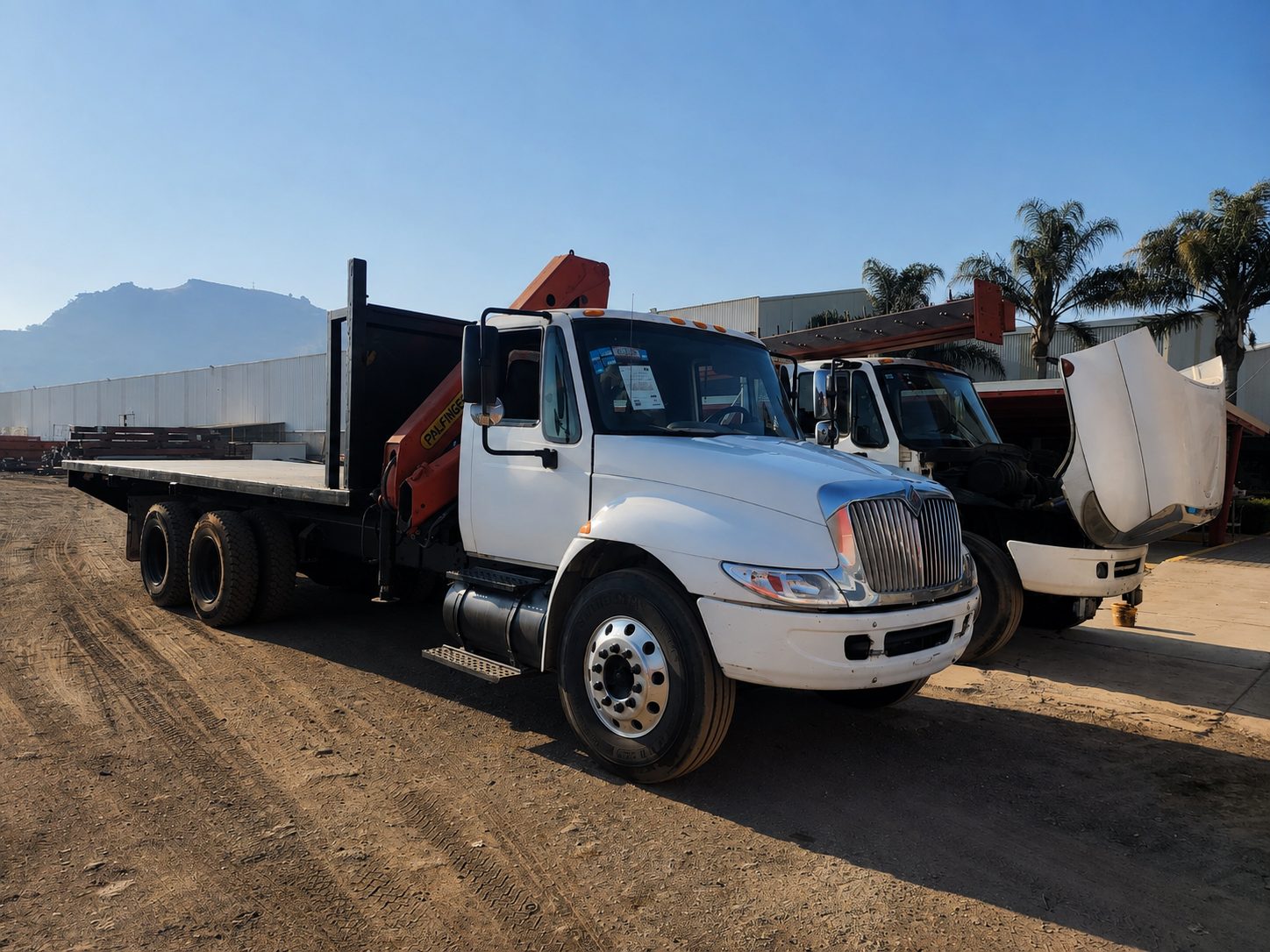 Camión International 4400 con grúa articulada Palfinger PK 10000 año 2006
